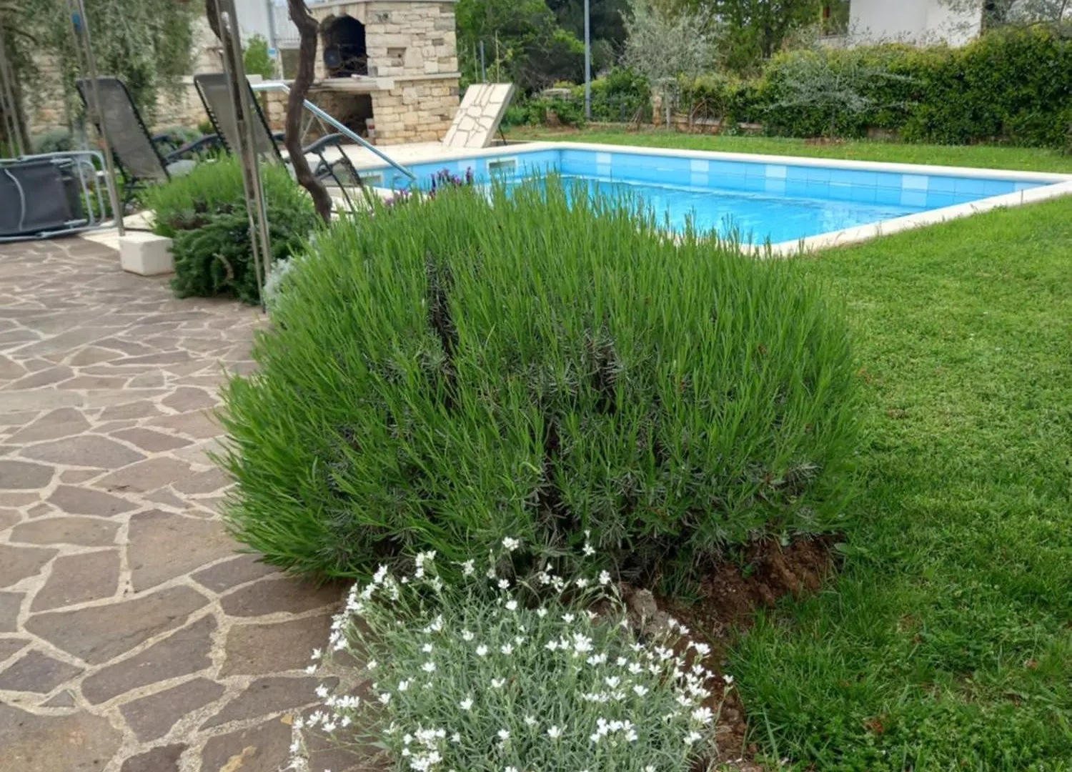 Apartments Leone Brtonigla